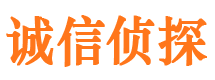 高县调查事务所